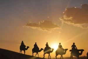 Marrakech: paseos en camello por el desierto de Agafay, cena y espectáculo de fuego