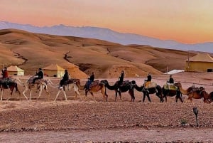 Marrakech: paseos en camello por el desierto de Agafay, cena y espectáculo de fuego