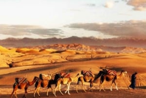 Marrakech: paseos en camello por el desierto de Agafay, cena y espectáculo de fuego
