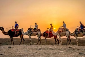Marrakech: giro in cammello nel deserto di Agafay con cena e spettacolo