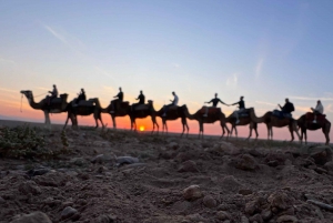 Marrakech: giro in cammello nel deserto di Agafay con cena e spettacolo