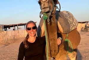 Marrakech: giro in cammello nel deserto di Agafay con cena e spettacolo