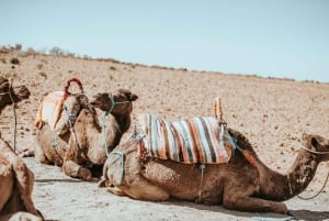 Besuche Marrakesch: Führung durch die Ouzoud-Wasserfälle und Bootstour