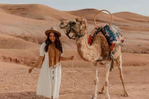 Marrakech: Cena al atardecer en el desierto de Agafay con paseo en camello