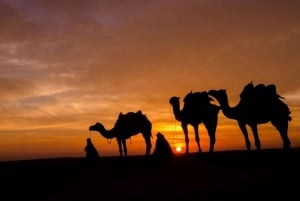 Marrakech: Auringonlasku Illallinen Agafayn autiomaassa ja kameliratsastus