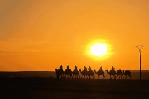 Marrakech, agafay desert, sunset, camel ride,dinner and show