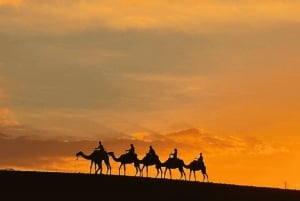 Marrakech, agafay desert, sunset, camel ride,dinner and show