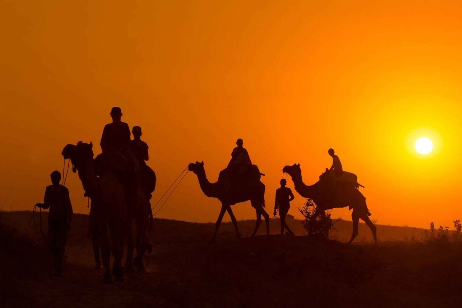 Marrakech: Agafay Desert Dinner, Camel Ride, and Music Show