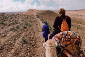 Marrakech: Agafay Desert Dinner, Camel Ride, Quad Biking