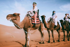 Marrakech: Agafay Desert Dinner, Camel Ride, Quad Biking