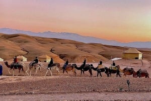 Marrakech: Agafay Desert Dinner, Camel Ride, Quad Biking