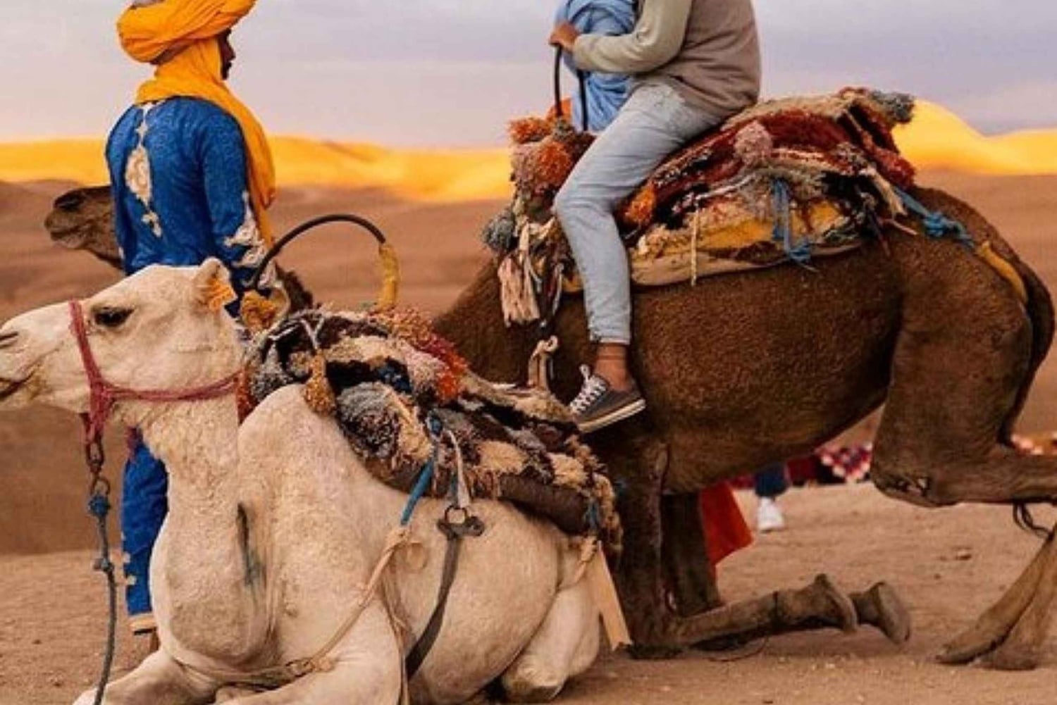 Marrakech: Agafay Desert Dinner Show mit Kamelritt bei Sonnenuntergang