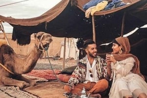 Marrakech : Dîner-spectacle dans le désert d'Agafay avec balade à dos de chameau au coucher du soleil