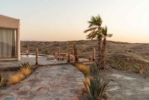 Marrakech: Agafay Desert Dinner Show mit Kamelritt bei Sonnenuntergang