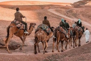 Marrakech: Agafay Desert Dinner Show mit Kamelritt bei Sonnenuntergang