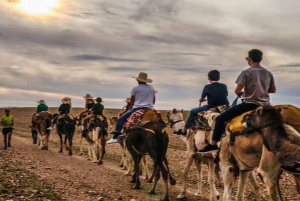 Marrakech: Agafay – illallinen tähtien alla aavikolla