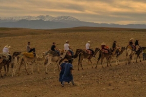 Marrakech: Agafay – illallinen tähtien alla aavikolla