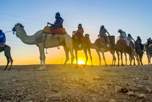 Marrakech: Cena nel deserto di Agafay con giro in cammello, quad e piscina