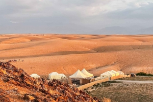Marrakech : Dîner dans le désert d'Agafay avec balade à dos de chameau, quad et piscine