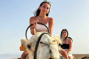 Marrakech: Agafay ørkenmiddag med kameltur, firhjulstrækker og pool