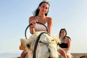 Marrakech: Cena en el desierto de Agafay con paseo en camello, quad y piscina