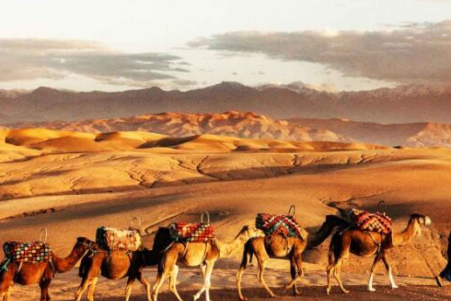 Marrakech: Agafayn aavikko-illallinen musiikin ja tulishow'n kera.