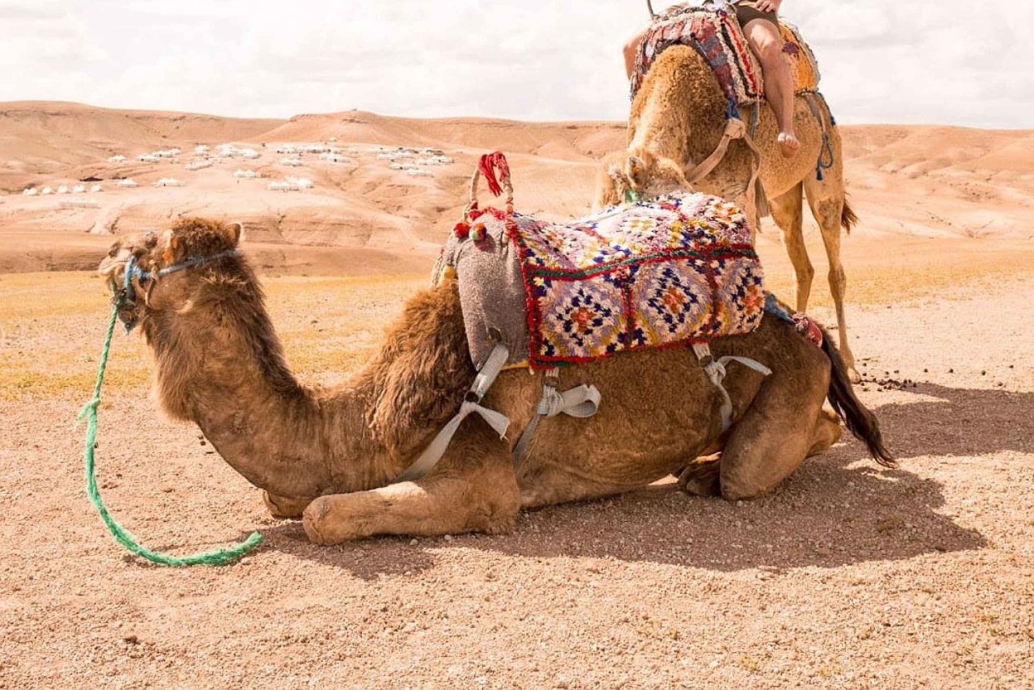 Marrakech: Agafayn aavikko-illallinen musiikin ja tulishow'n kera.