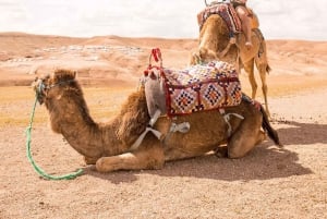 Marrakech: Agafayn aavikko-illallinen musiikin ja tulishow'n kera.