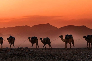 Marrakech: Agafayn aavikko-illallinen musiikin ja tulishow'n kera.