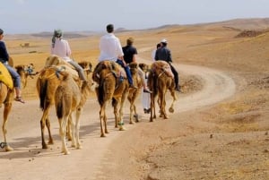 Marrakech: Agafayn aavikko-illallinen musiikin ja tulishow'n kera.