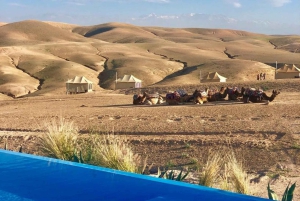 Marrakech: Agafayn aavikko-illallinen musiikin ja tulishow'n kera.