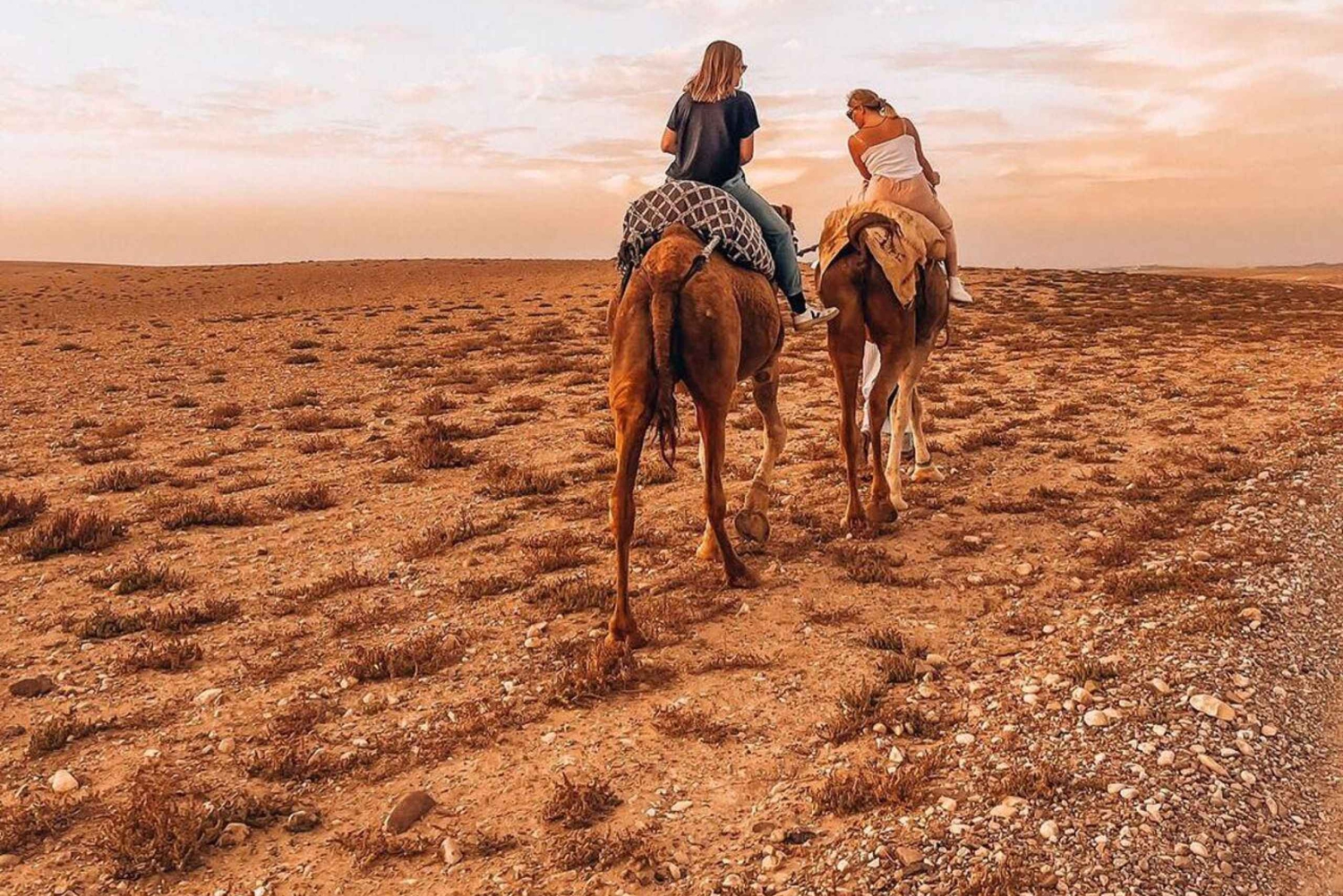 Marrakech: Agafay Desert Escape with Quad or Camel Ride