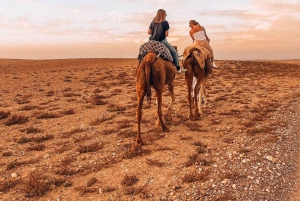 Marrakech: Agafay Desert Escape with Quad or Camel Ride