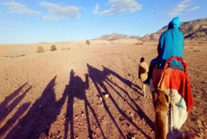 Marrakech: Agafay Desert Evening Trip Under the Stars