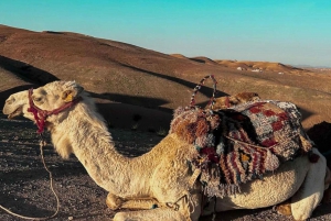 Marrakech: Agafay Desert Evening Trip Under the Stars
