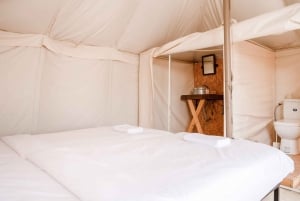 Marrakesz: Wyjątkowy nocleg na pustyni Agafay z kolacją