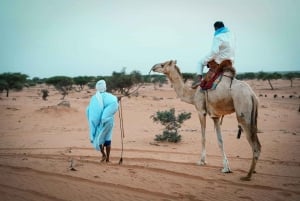 Marrakech: cena magica nel deserto di Agafay, giro in cammello e tramonto