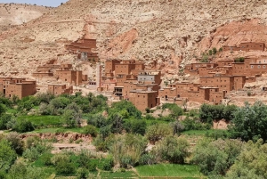 Marrakech: Agafay öken magisk middag kamelritt och solnedgång