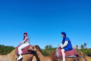 Marrakech: Atlas Mountains & Valleys Waterfall Hike w/ Lunch