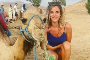 Marrakech: Atlas Mountains & Valleys Waterfall Hike w/ Lunch