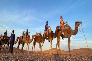 Marrakech: Atlas Mountains & Valleys Waterfall Hike w/ Lunch
