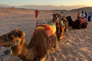 Marrakech: Atlas Mountains & Valleys Waterfall Hike w/ Lunch
