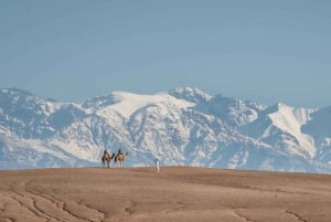 Marrakech: Agafay Desert & Oasis Camel Experience with Snack