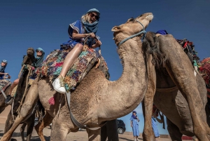 Marrakech: Agafay Desert & Oasis Camel Experience with Snack