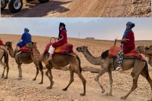 Marrakech: Agafay Desert Pool and Tour with Lunch