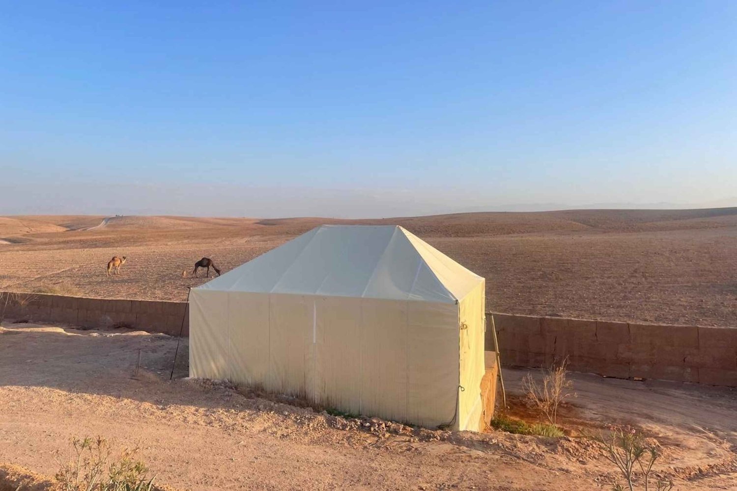 Marrakech : journée piscine dans le désert d'Agafay avec déjeuner et transfert