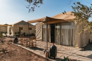 Marrakech: giornata al deserto di Agafay con pranzo e trasferimento