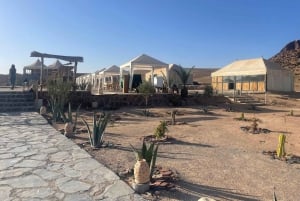 Marrakech: giornata al deserto di Agafay con pranzo e trasferimento