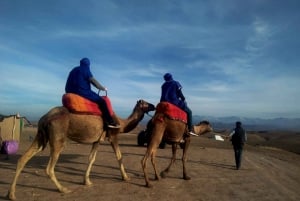 Marrakech: Agafay Desert Quad Bike, Camel Ride, and Dinner