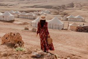 Marrakech: Quad nel deserto di Agafay, giro in cammello e cena